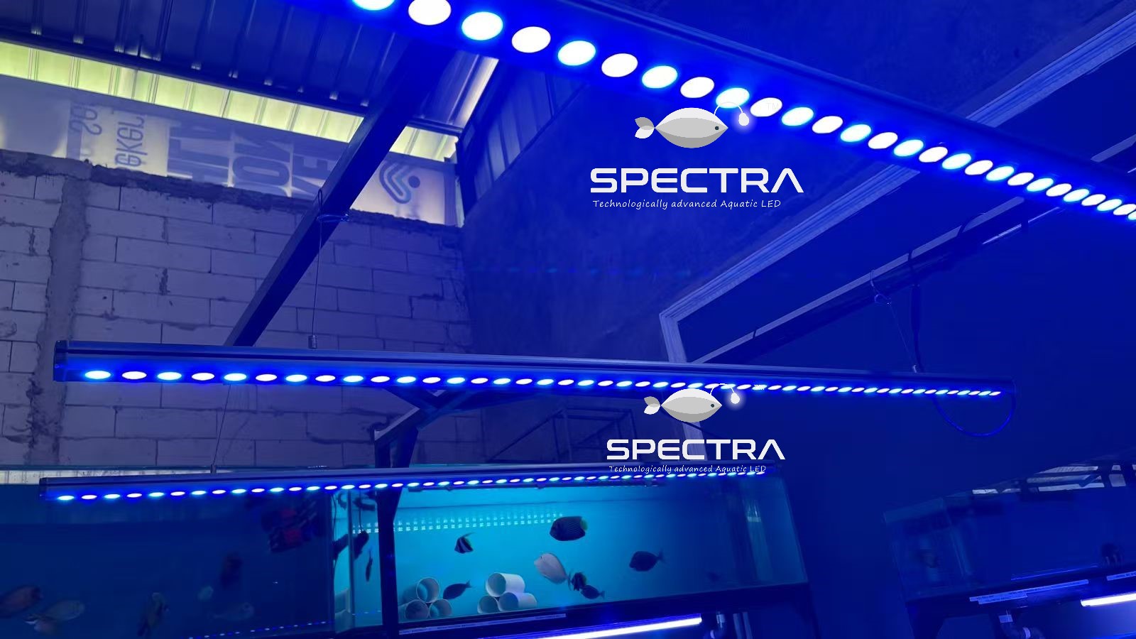 light bar aquarium.jpg