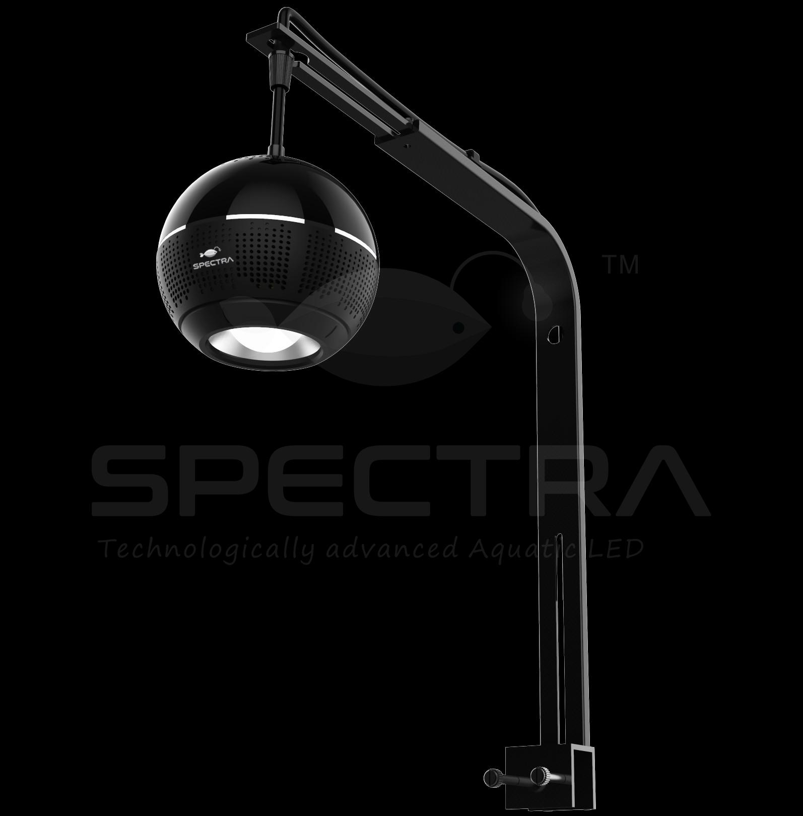 Spectra aqua Sphere M031
